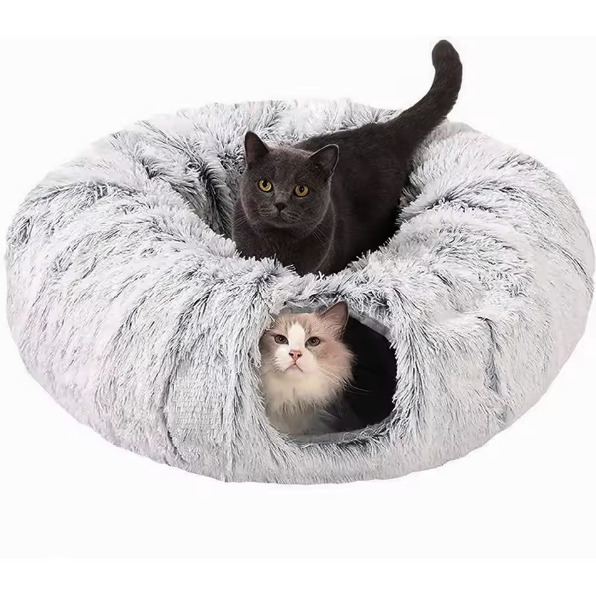 Katzenbett mit Tunnel interaktiv